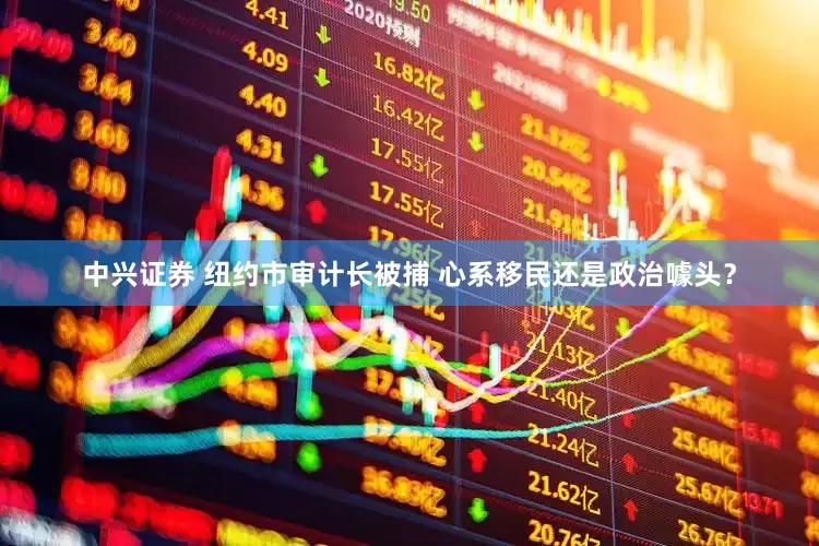 中兴证券 纽约市审计长被捕 心系移民还是政治噱头？
