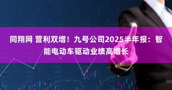 同翔网 营利双增！九号公司2025半年报：智能电动车驱动业绩高增长