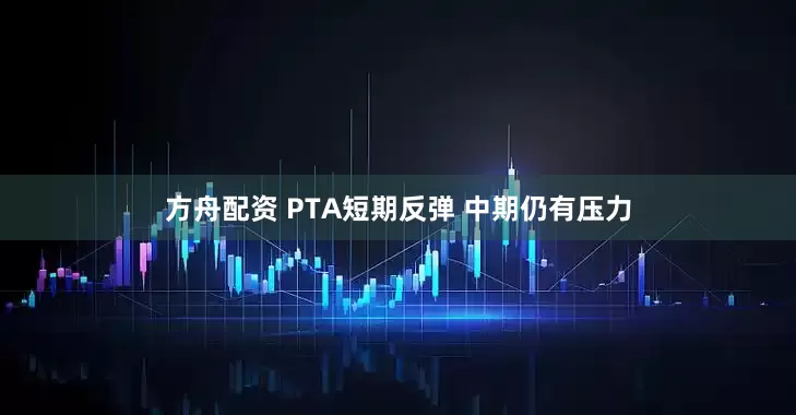 方舟配资 PTA短期反弹 中期仍有压力