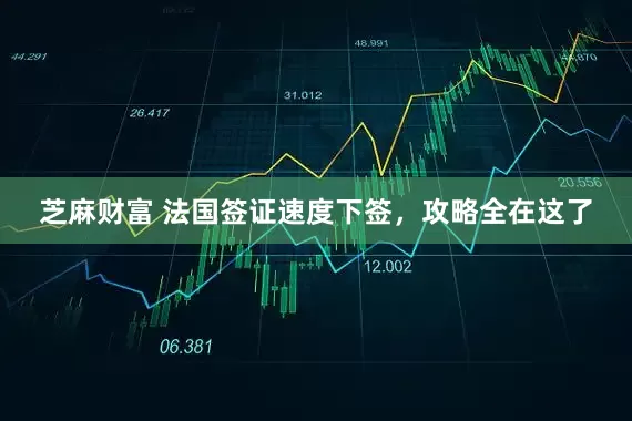 芝麻财富 法国签证速度下签，攻略全在这了