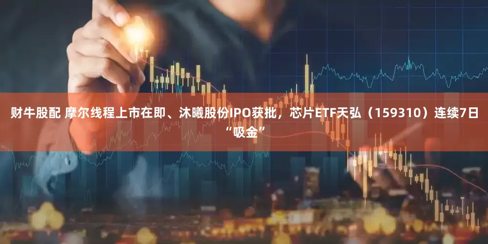 财牛股配 摩尔线程上市在即、沐曦股份IPO获批，芯片ETF天弘（159310）连续7日“吸金”