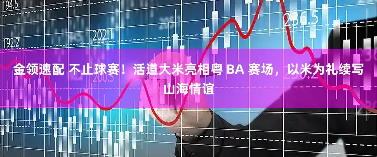 金领速配 不止球赛！活道大米亮相粤 BA 赛场，以米为礼续写山海情谊